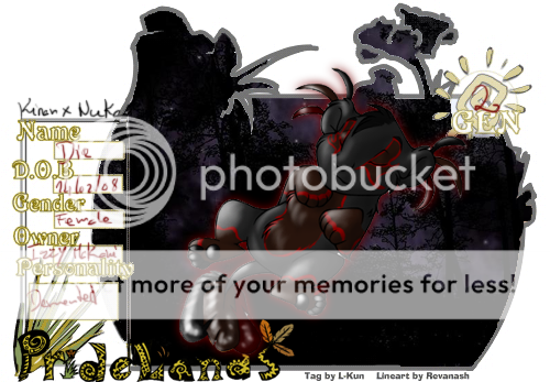 User Image